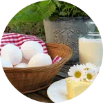 Dairy and egg ingredient image for riboflavin