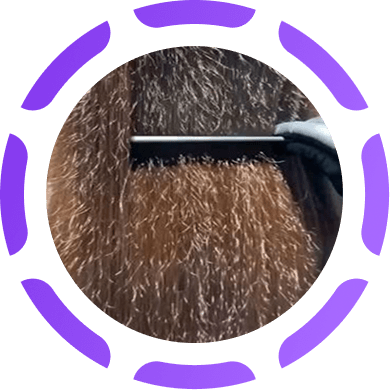 Cabelo com frizz